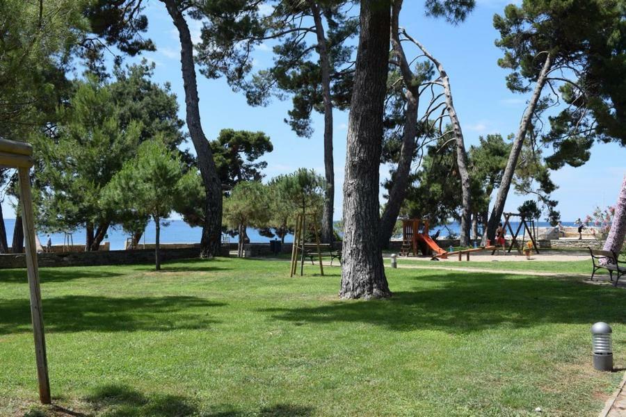 Apartment Matea Novigrad Istria Eksteriør bilde